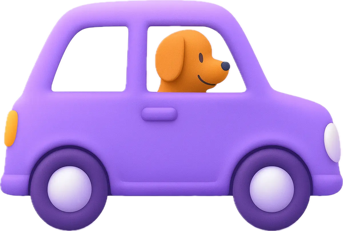 Pet taxi