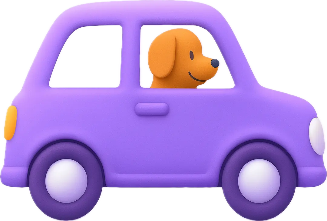 Pet taxi